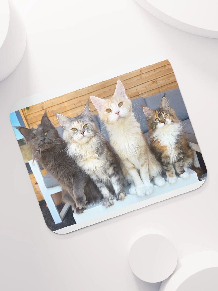 4 Generations - Mouse Pad product image (7)