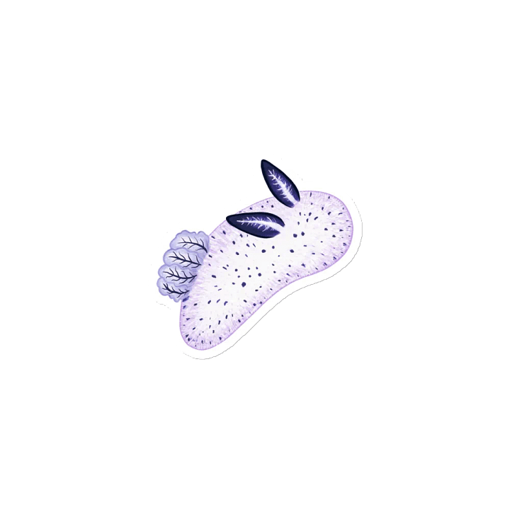 Sea Slugs: Set 1, Jorunna Parva - Magnet product image (1)