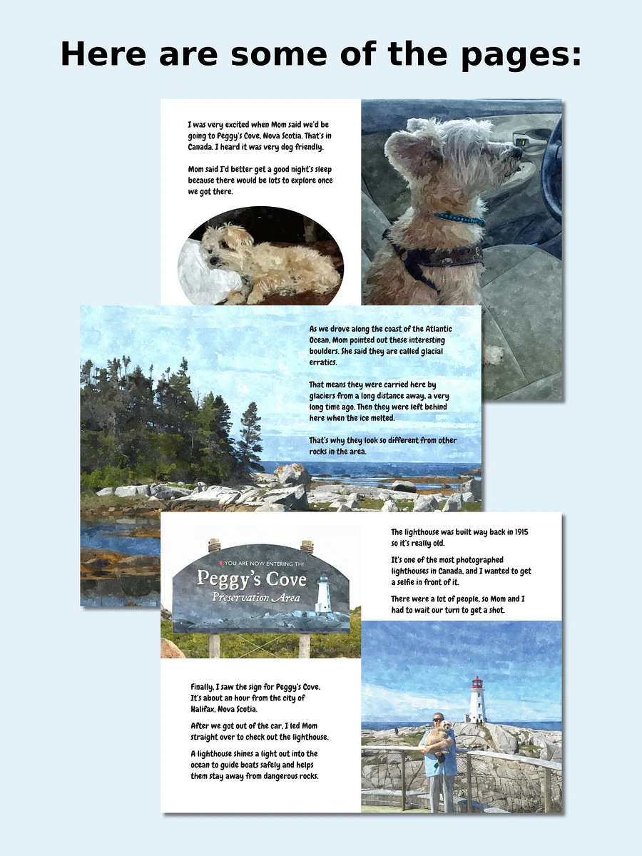 Mozzie Visits Peggy's Cove - eBook product image (2)