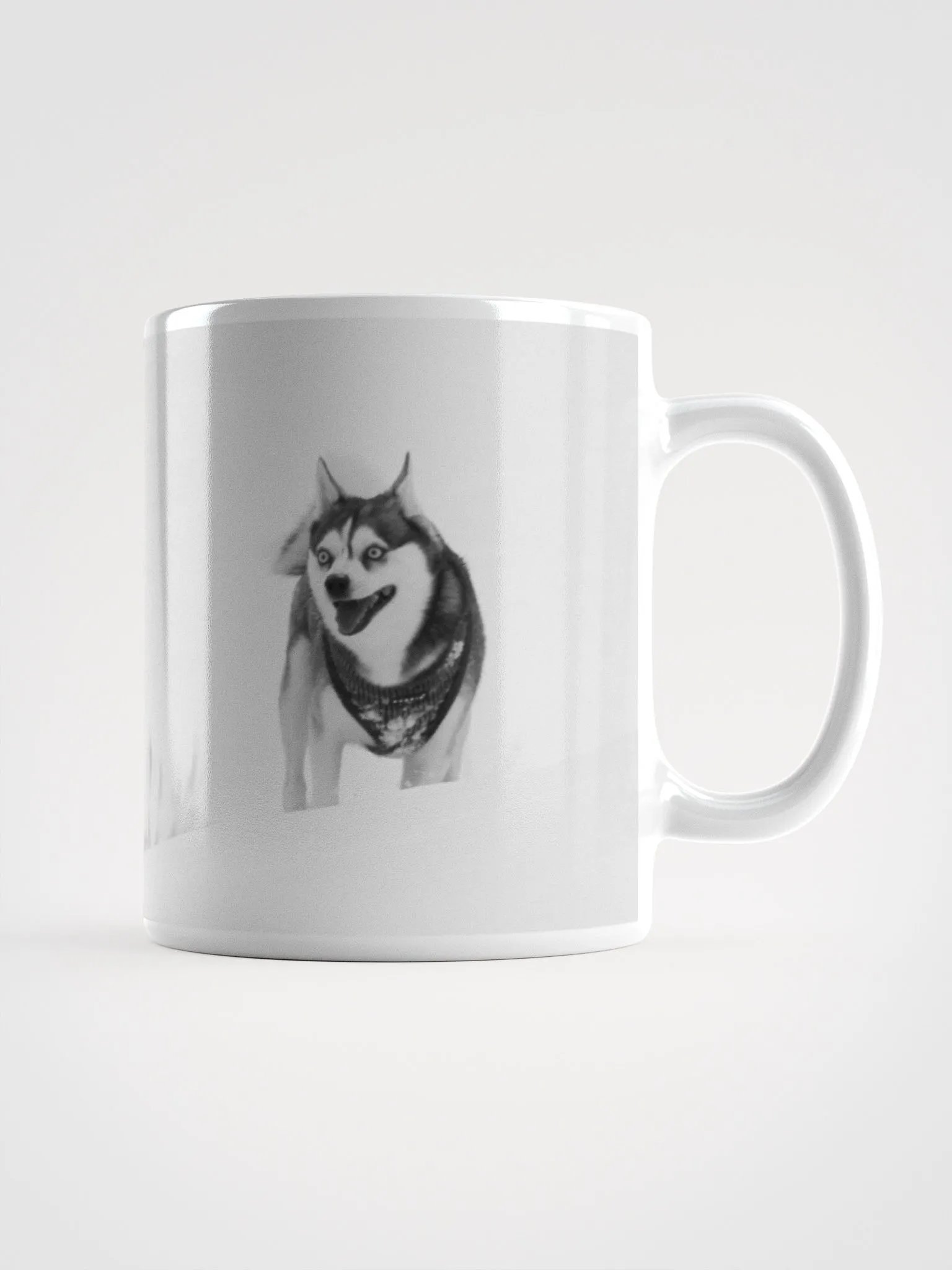 Siberian Husky plays ball with Klee Kai - Black & White product image (2)