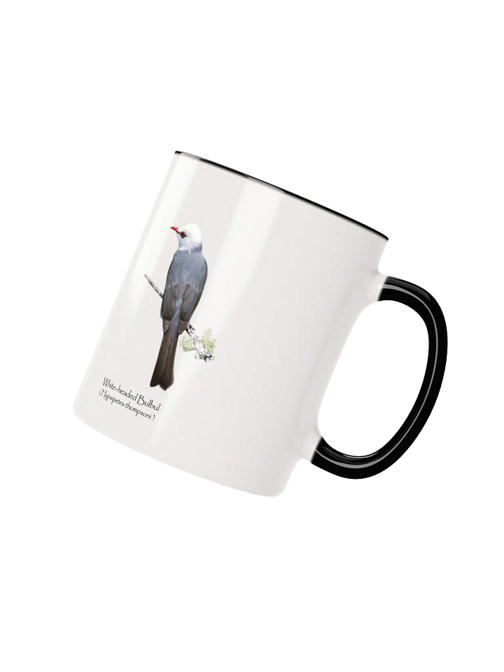 White-headed Bulbul mug product image (19)