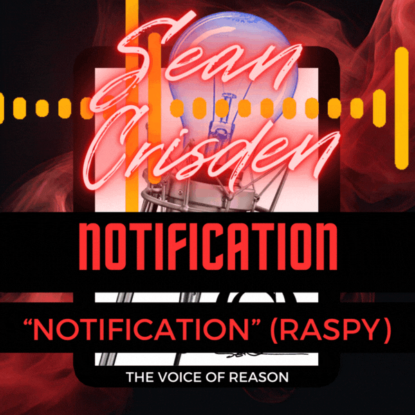 Audio Notification - 