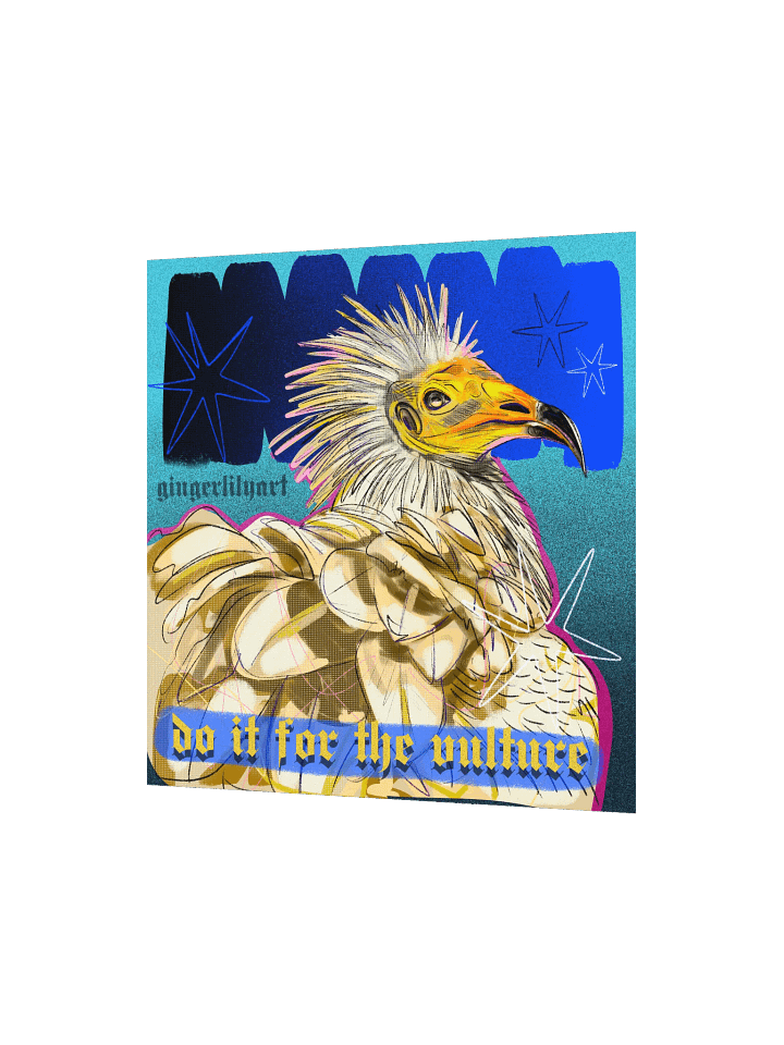 egyptian vulture print product image (3)