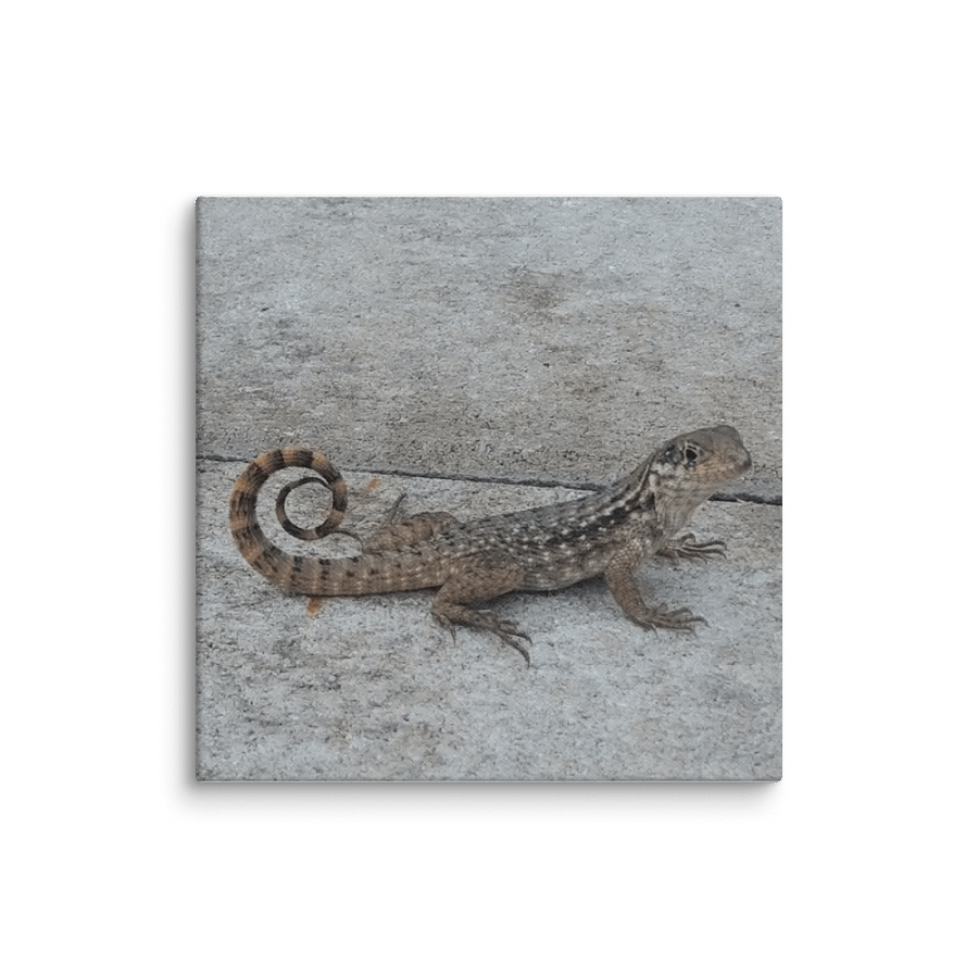 Patterned Lizard Canvas product image (1)