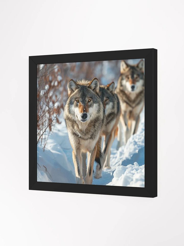Wolf Pack in Snow: Majestic Winter Scene product image (2)