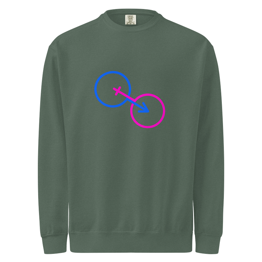 The Nature Of Two Genders Symbolic Sweatshirt product image (1)