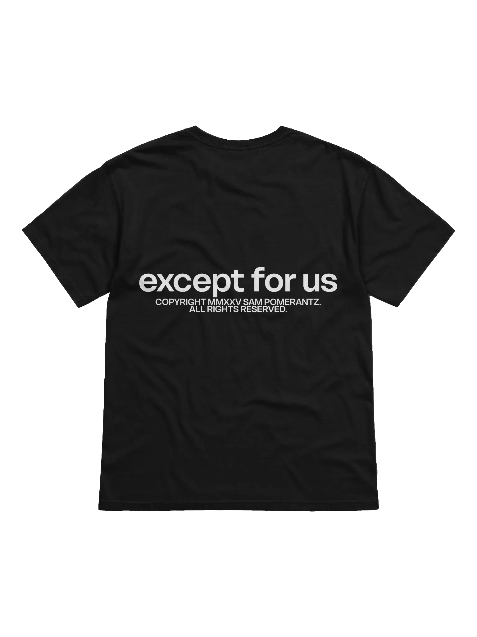Except For Us Threshold Tee product image (2)