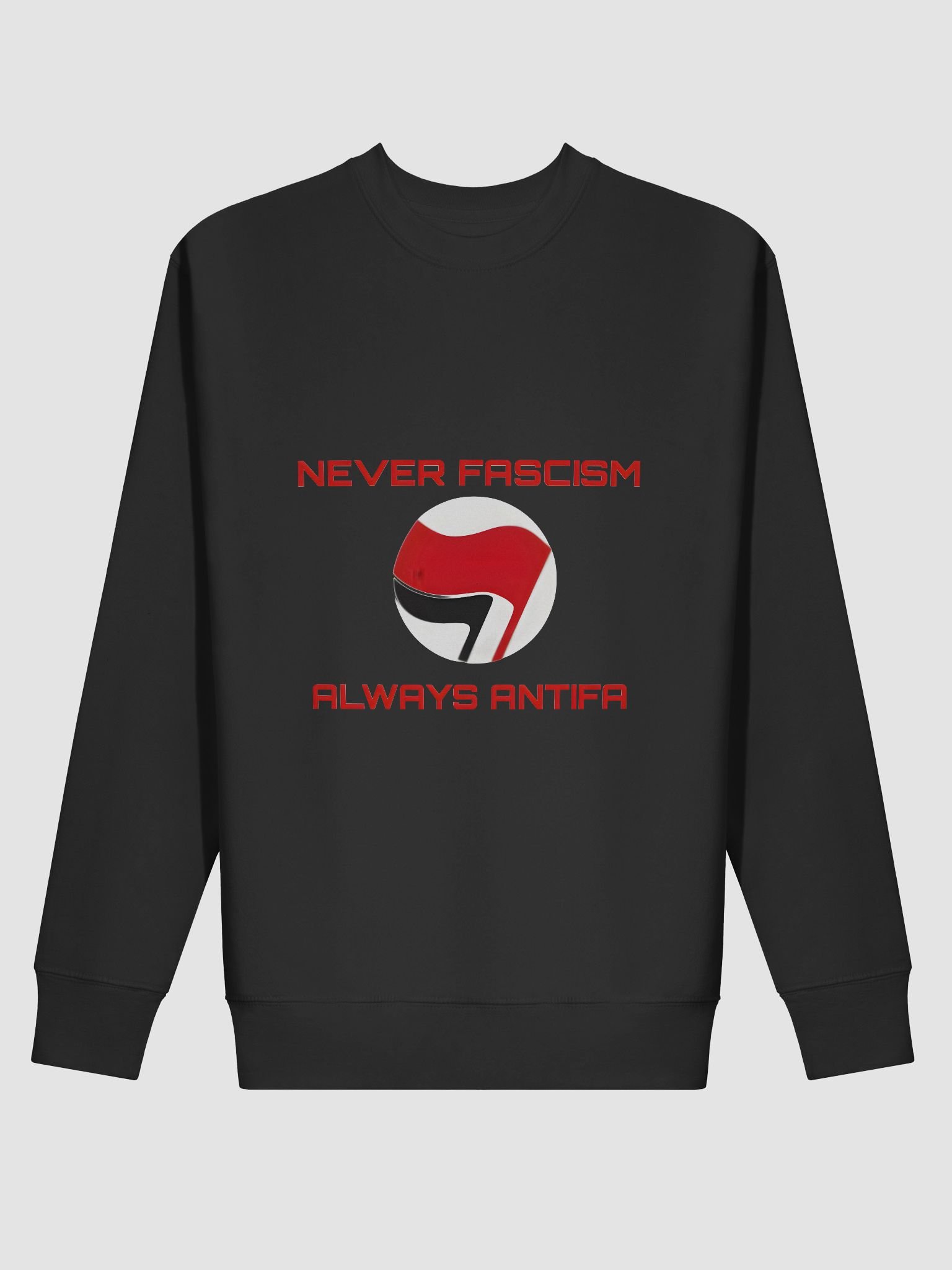 Never Fascism Statement Sweatshirt product image (8)