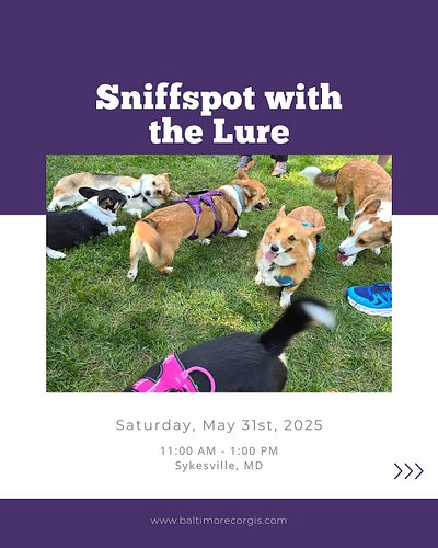 Join us for two hours of off-leash fun at a private, fenced-in SniffSpot in Sykesville! We’ll have an optional lure course se...