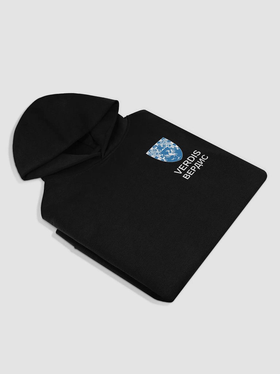 Coat of Arms Oversized Hoodie product image (4)