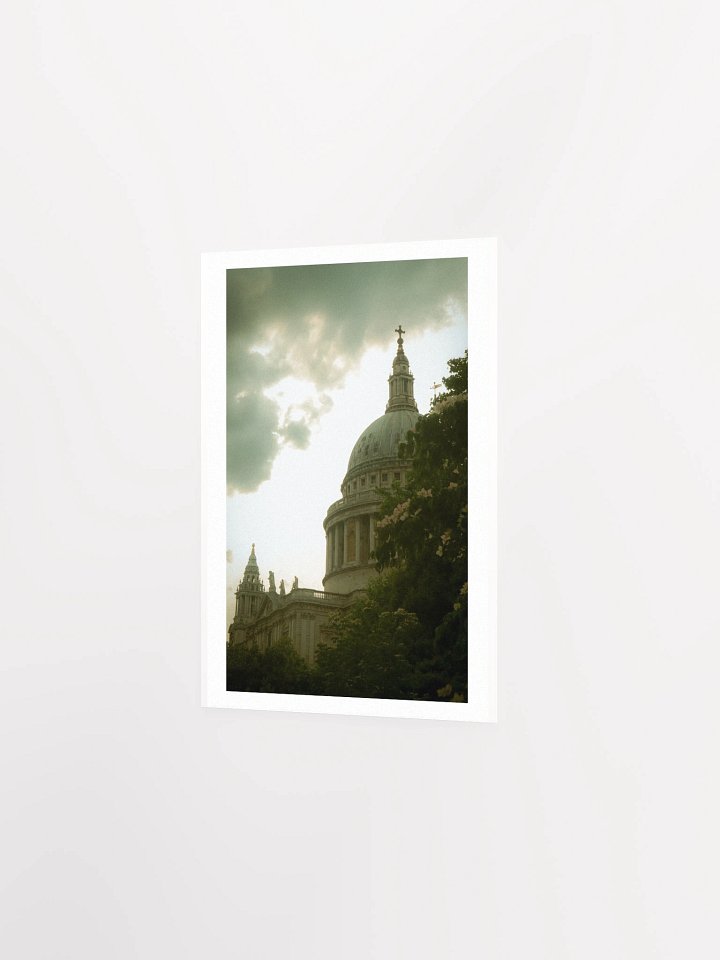 Flowers of St. Paul - Print product image (14)