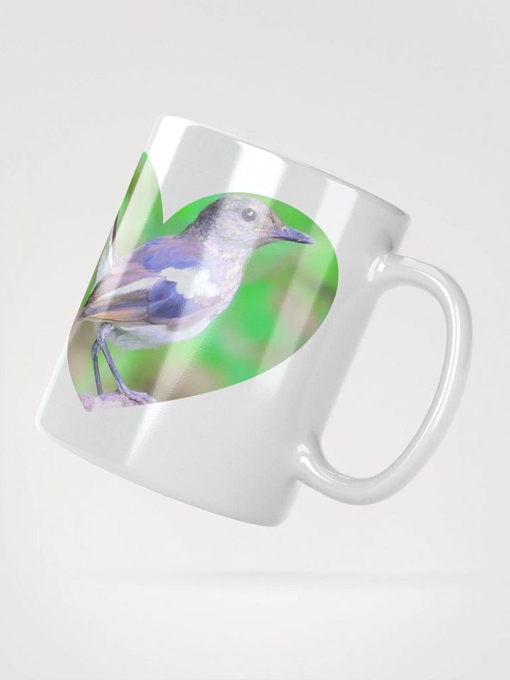 IUCAA Birds WHITE MUG product image (4)