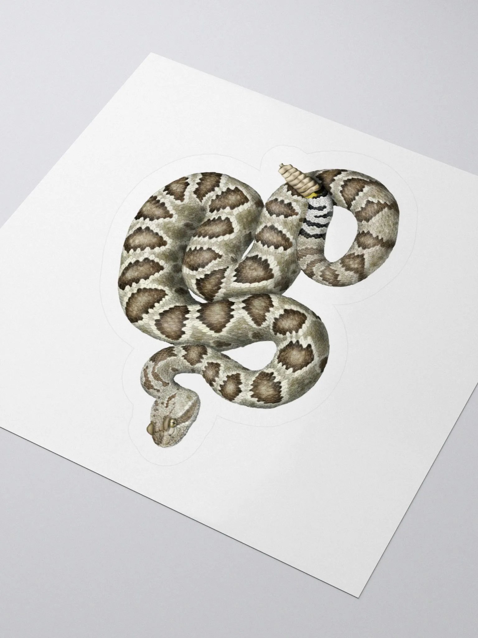 Die-Cut Sticker – Mojave Rattlesnake product image (3)