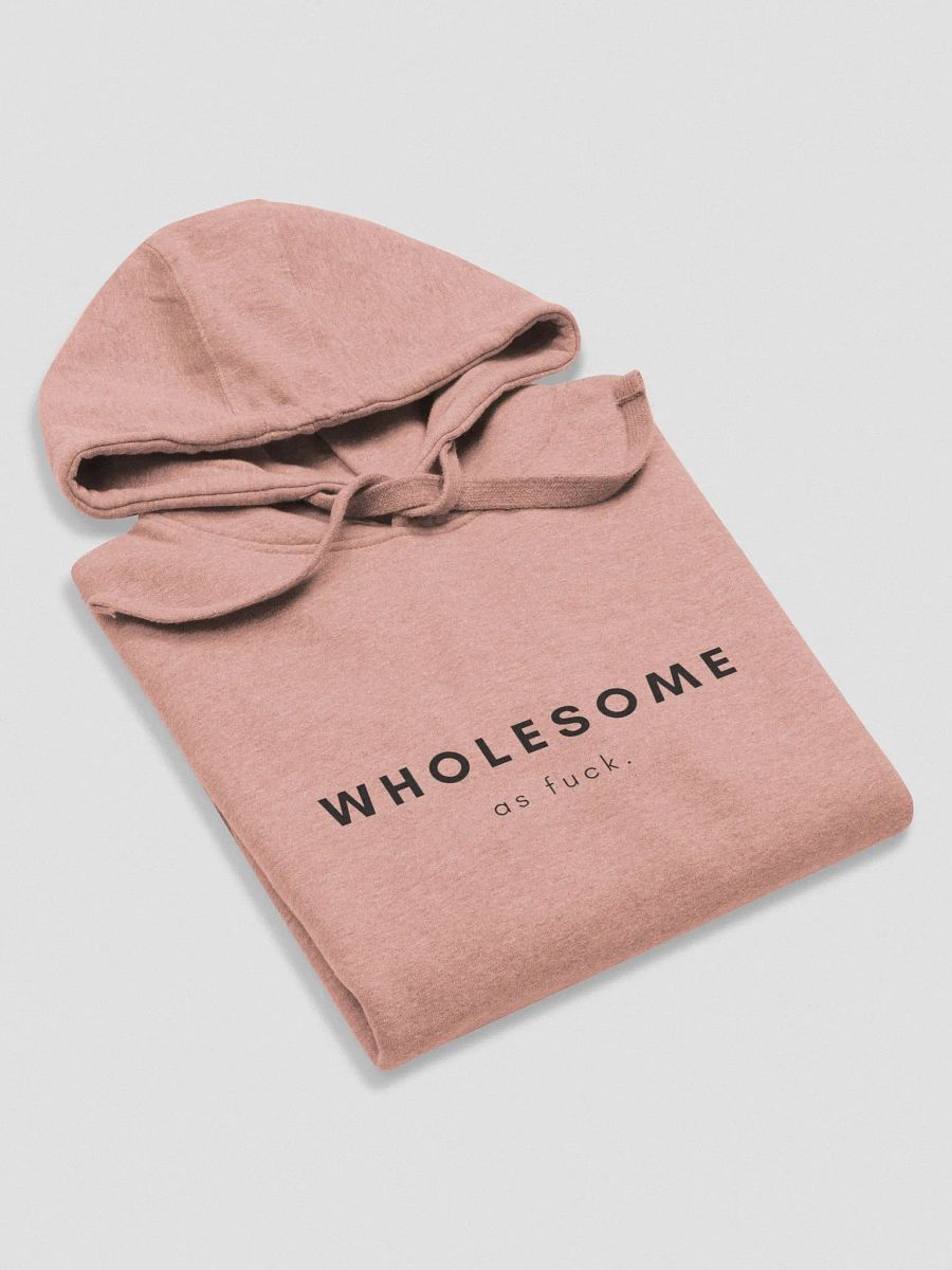 Wholesome As Fuck Hoodie product image (3)