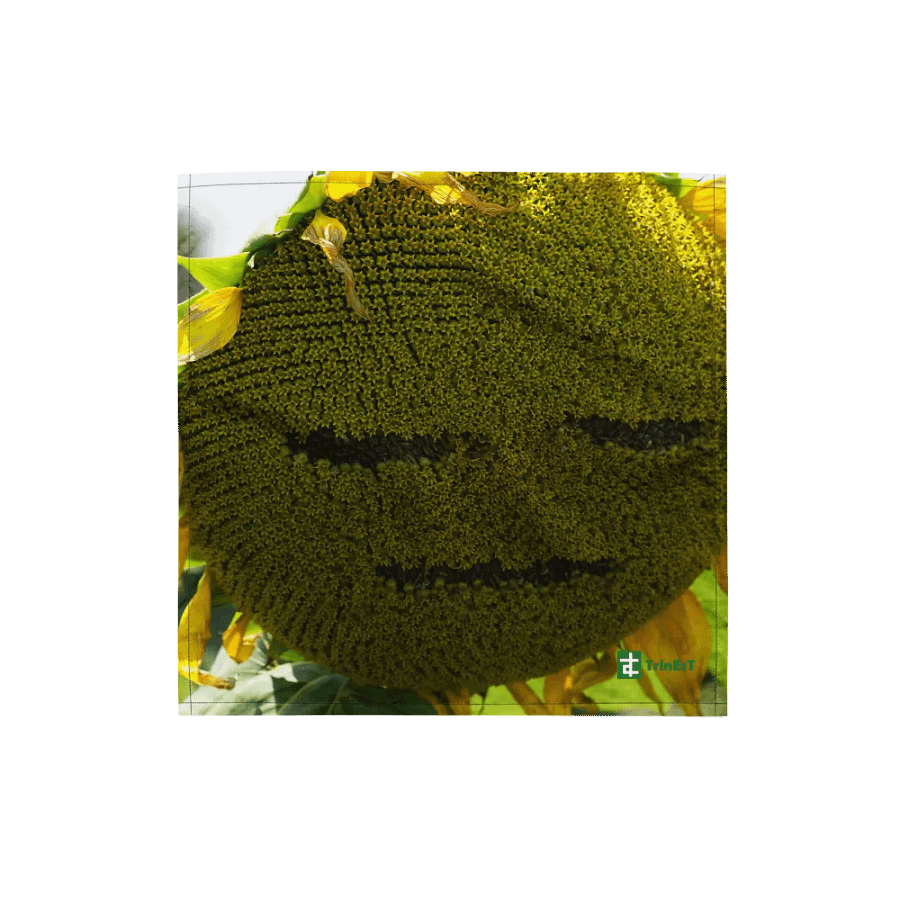 Sunflower Bandana product image (1)