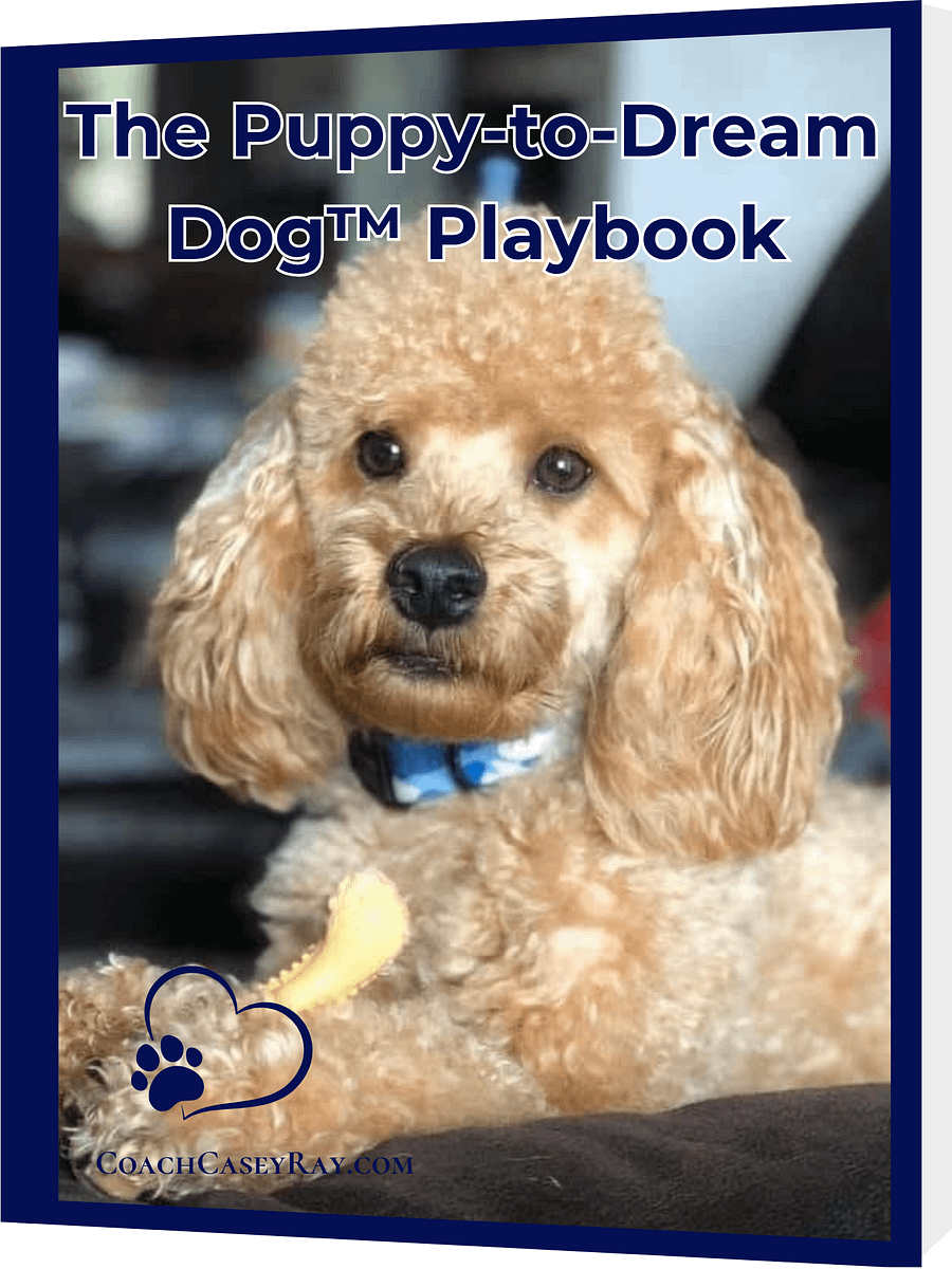The Puppy-to-Dream Dog™ Playbook product image (1)