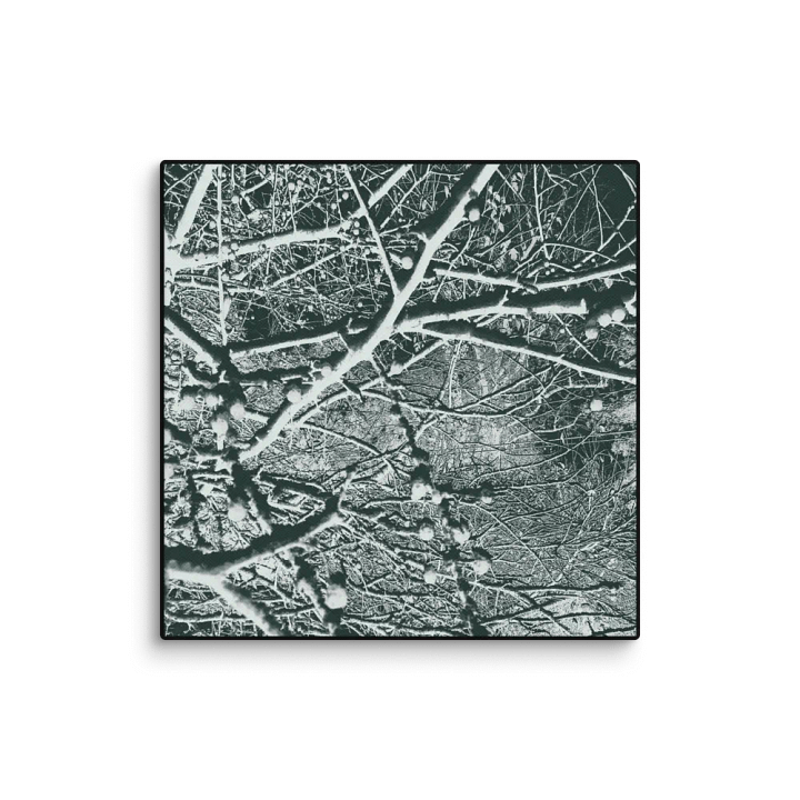Mycotic product image (1)