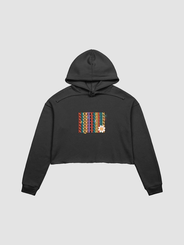Sagittarius Groovy Cropped Hoodie product image (1)