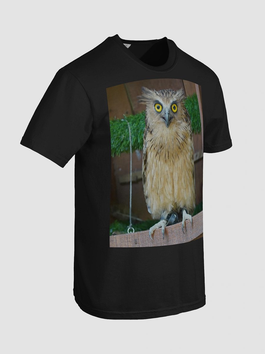 Owl Eyes Comfort Tee product image (7)