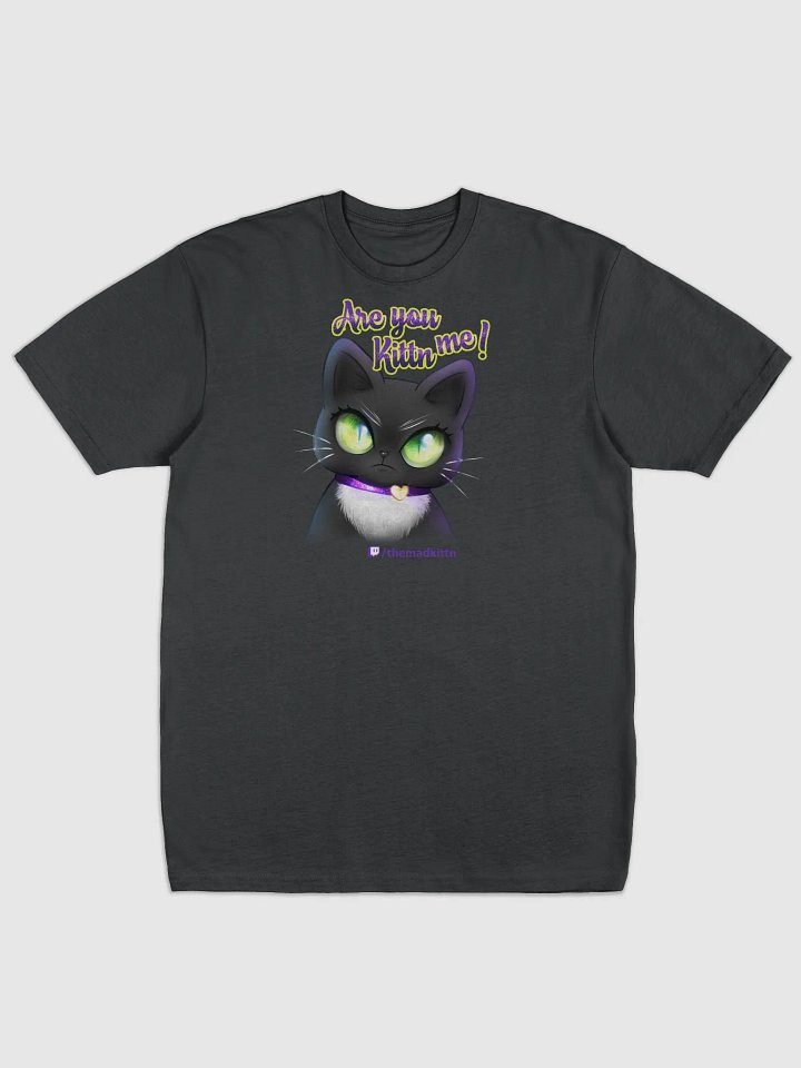Are you Kittn Me! T-Shirt product image (1)