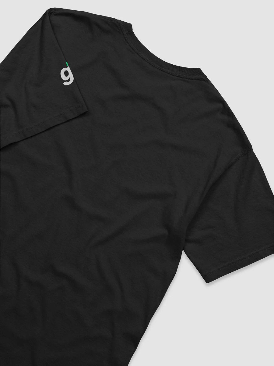 Greatest Streamers you've Never Heard of T-shirt product image (4)