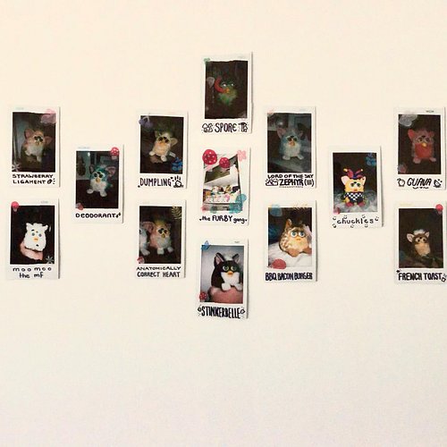 All of my babies now on my wall!! 💘 All 26 little furballs and all their silly lil names beneath them 💕💕 Slapped a bunch of @...