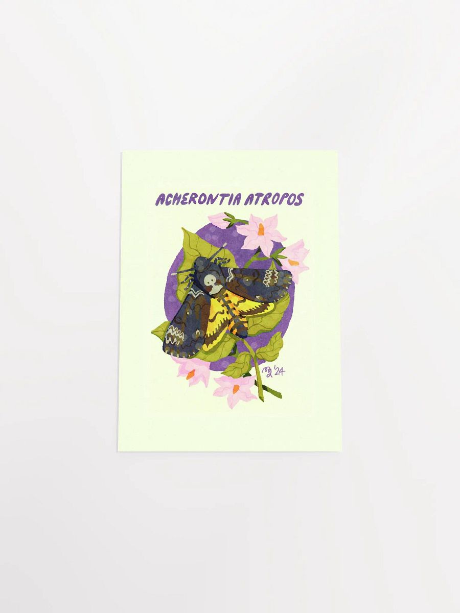 Death's-Head Hawk Moth Print product image (8)