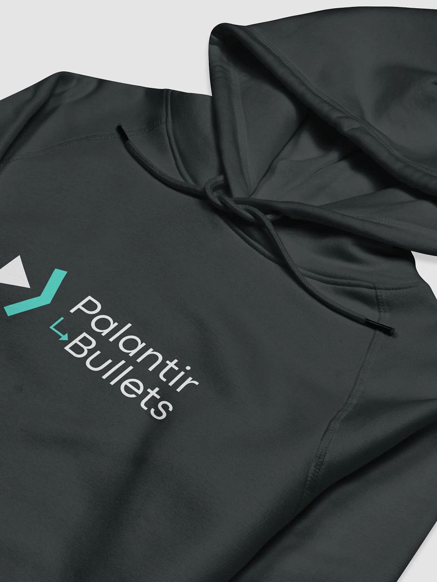 Palantir Bullets Hoodie Black product image (3)