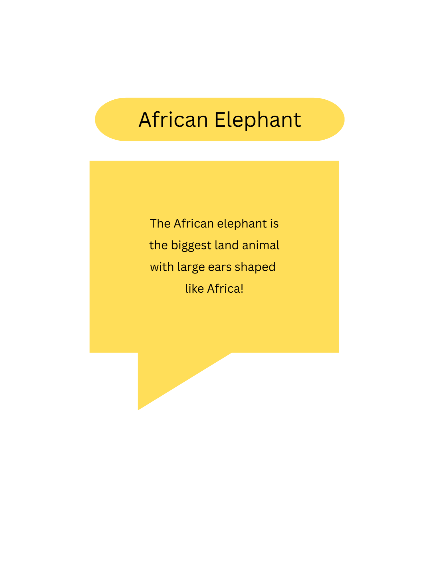 Coloring book,African animals. 40 Pages product image (11)