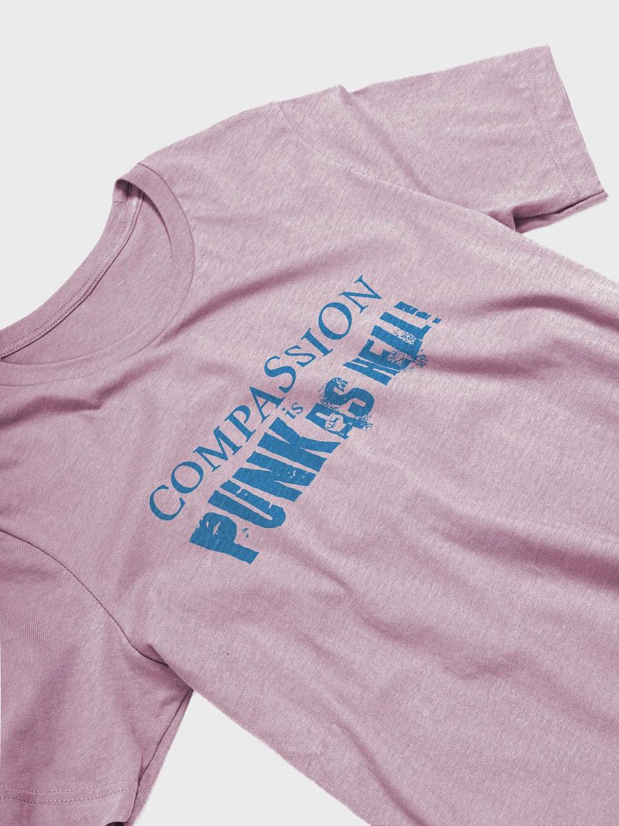 Compassion is Punk As Hell product image (8)