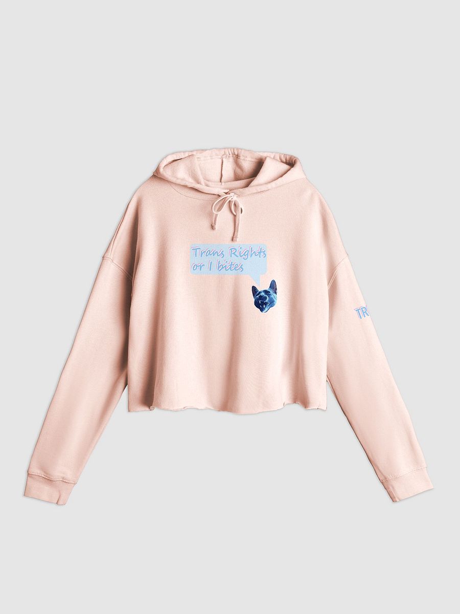 TROIB Cropped Hoodie in blue quote product image (2)