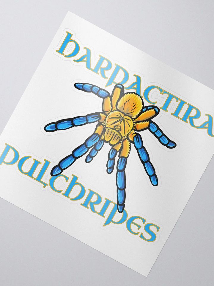 Harpactira pulchripes Sticker product image (2)
