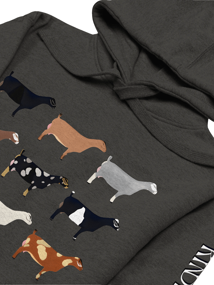 Kinder Kolors Hoodie product image (2)