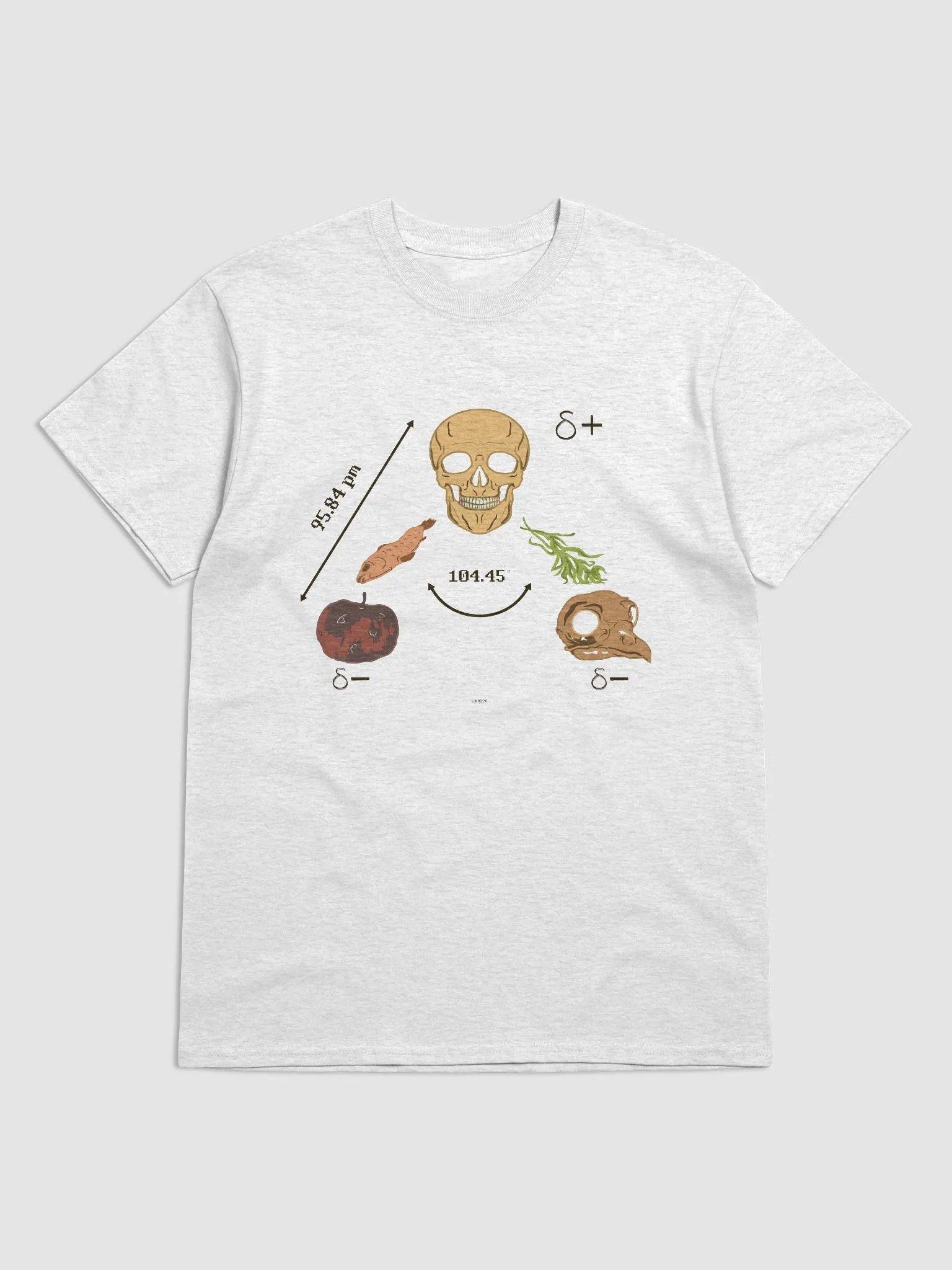 Saga Hydropolitique product image (1)