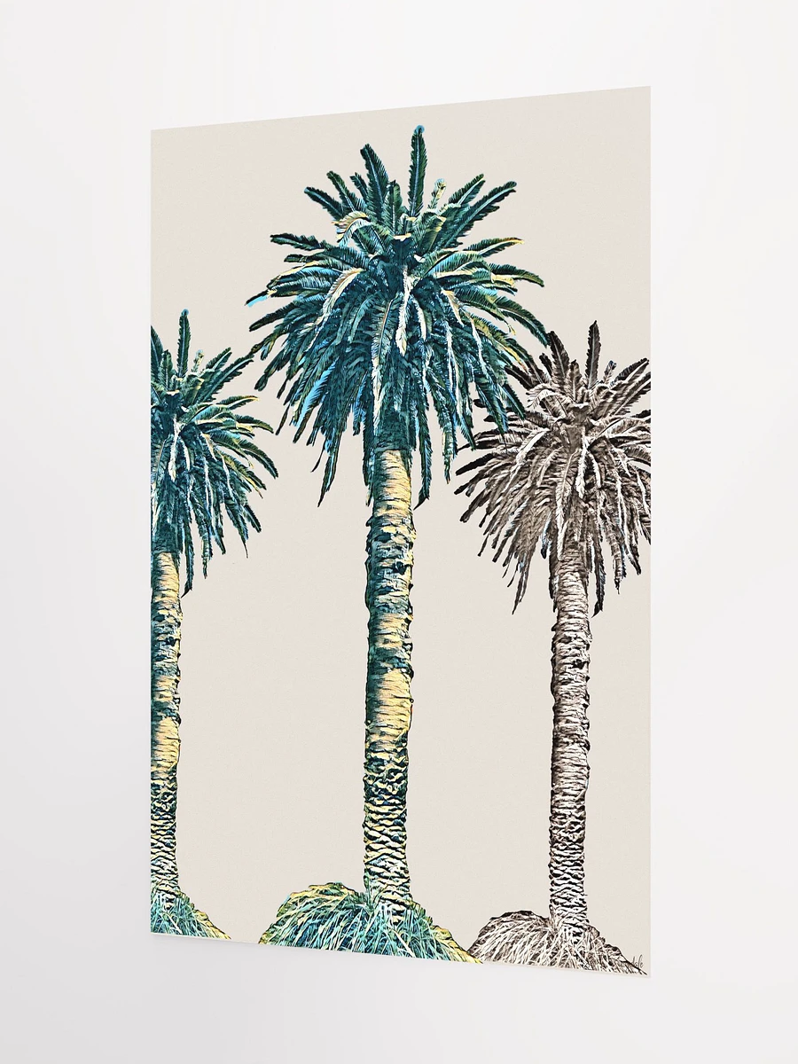 3 Palm Trees - Portrait - Museum-Quality Poster product image (4)
