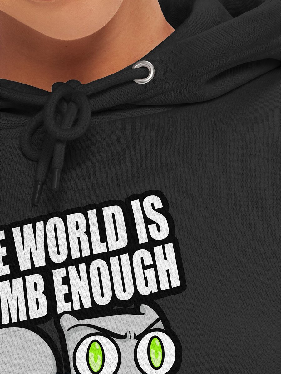 The World is Dumb Enough : Foamy The Squirrel product image (7)