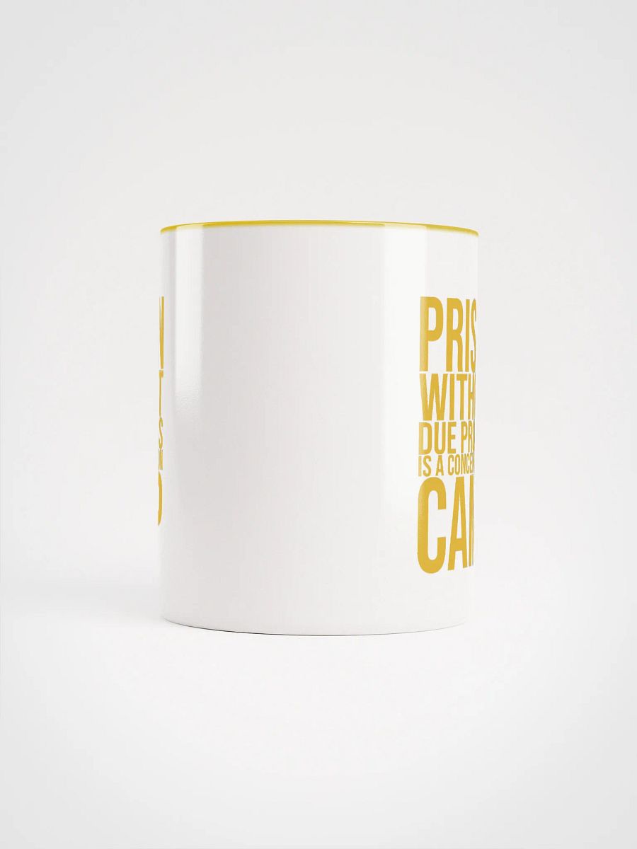 Due Process Concentration Camp Mug- Being Liberal product image (5)