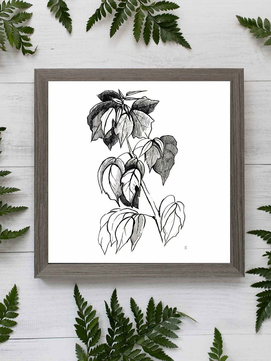 Botanical Line Art Canvas Print - Stylish Graphical Twig product image (8)