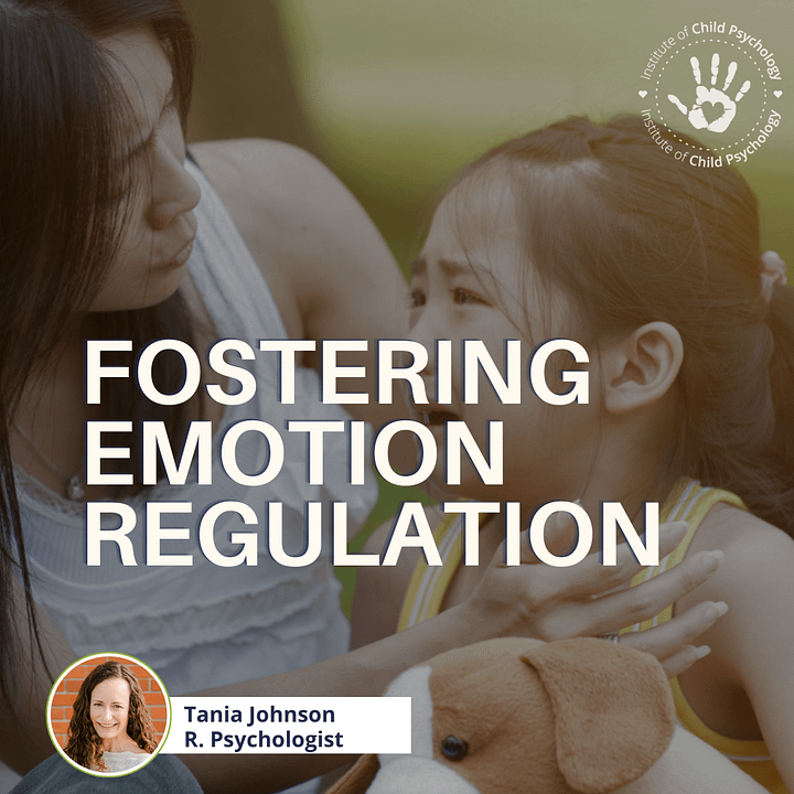 Fostering Emotion Regulation [E-Course] product image (1)
