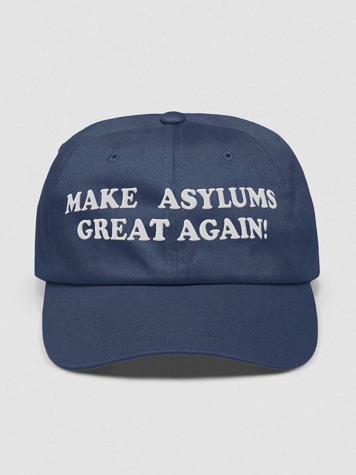 Make Asylums Great Again product image (1)
