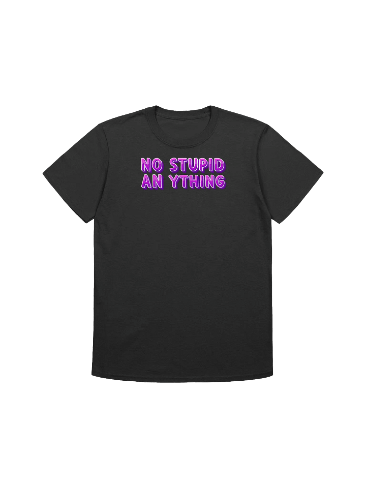 NO STUPID AN YTHING T-Shirt product image (1)