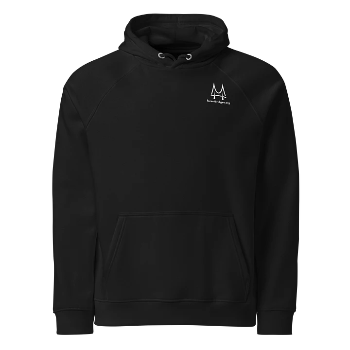 Forest Bridges Fall Colors Hoodies with Greyscale Logo & Emblem on Back product image (1)