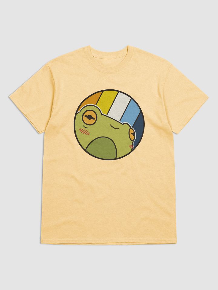 t-shirt : froge aroace product image (1)