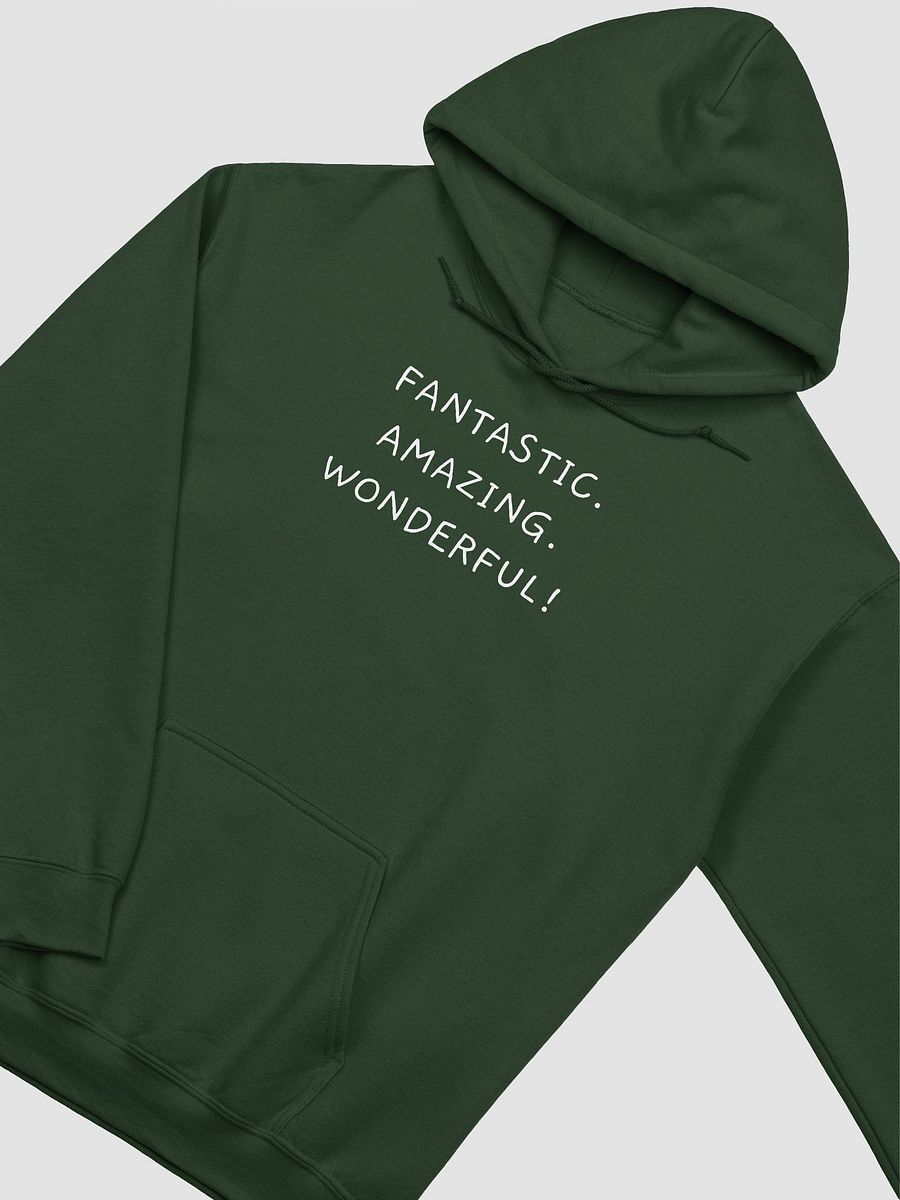 Fantastic Hoodie product image (1)
