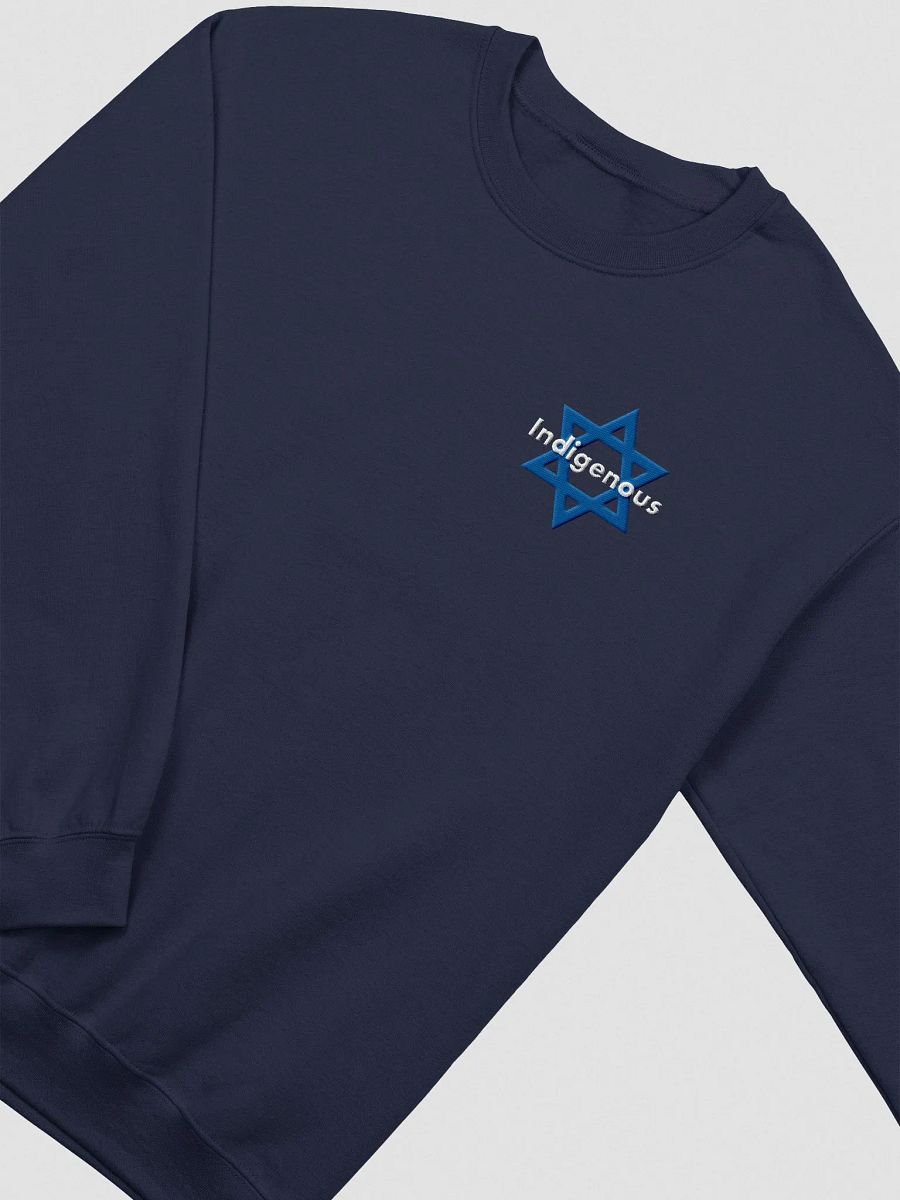Indigenous Embroidered Sweatshirt product image (3)