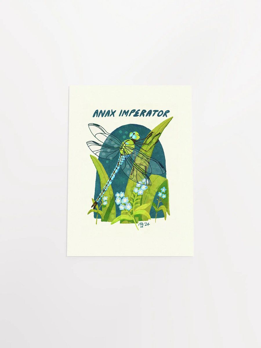 Emperor Dragonfly Print product image (7)