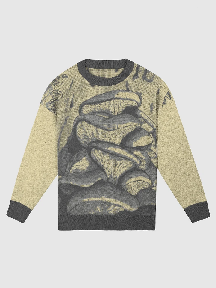 Oyster Mushrooms Sweater (Mellow) product image (2)