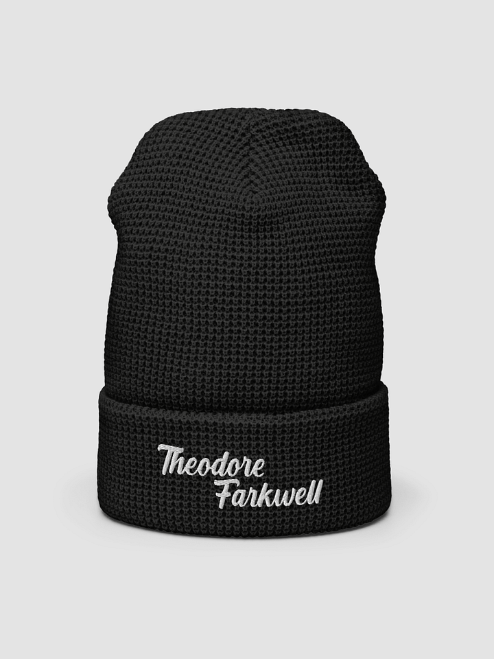 THEODORE FARKWELL BEANIE product image (2)