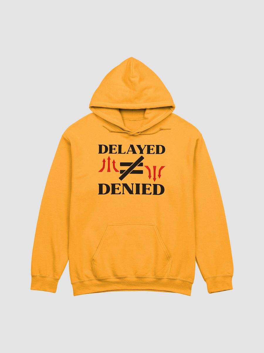 Delayed Not Denied Gildan Hoodie product image (12)