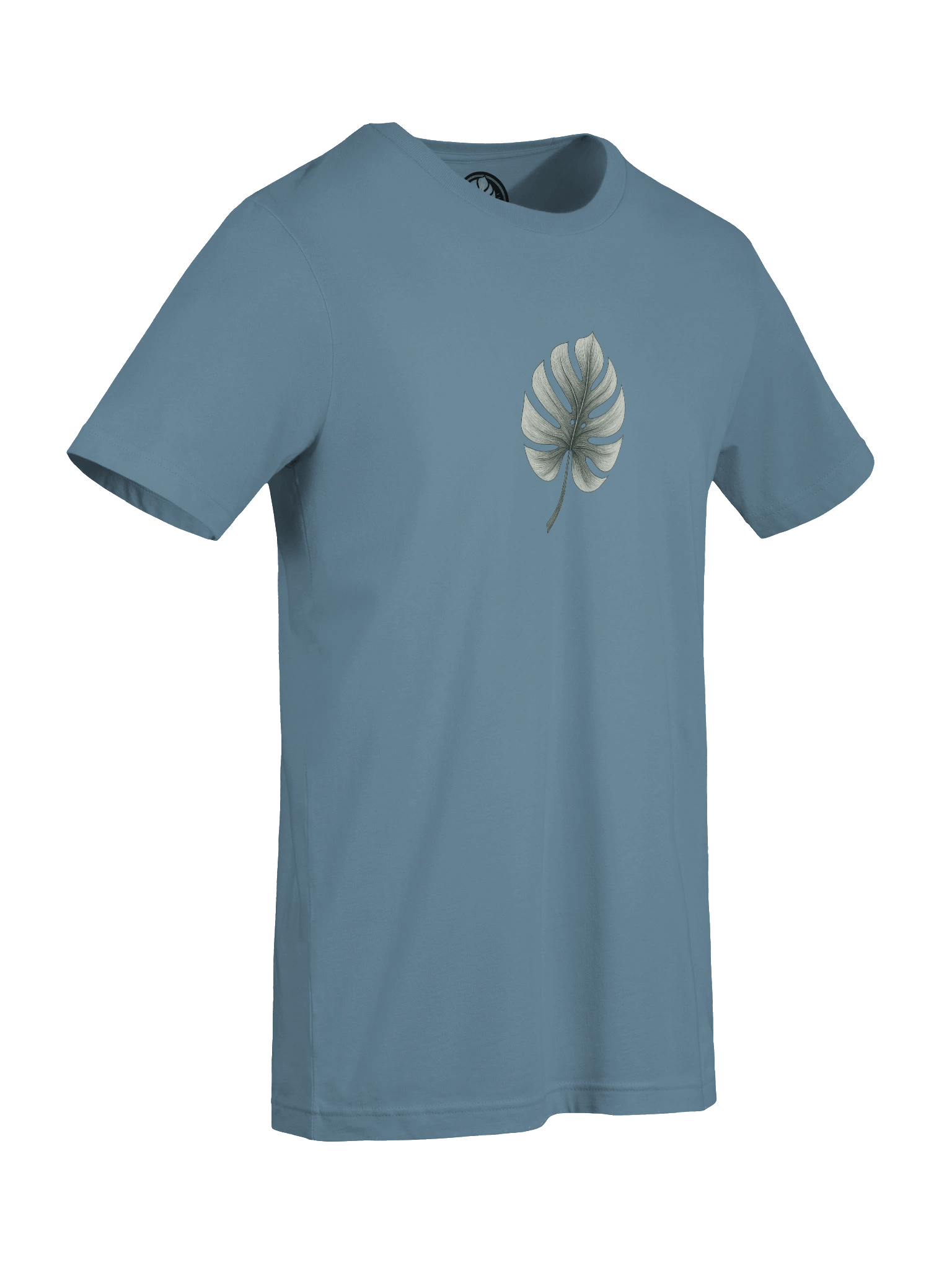 Monstera Stay Curious reverse design product image (43)